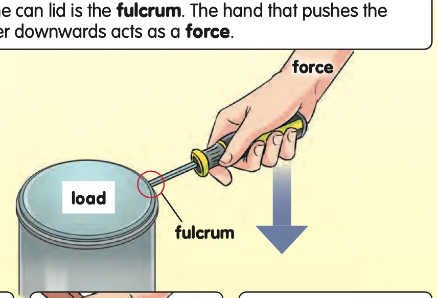 A hand pushes a screwdriver down to lift the lid of a paint can; the lid is labelled load, the tip fulcrum and the hand force