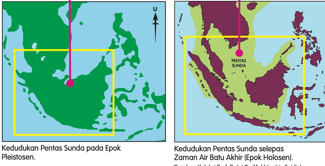 Dua peta Asia Tenggara. Di kiri, daratan hijau yang luas pada Epok Pleistosen. Di kanan, daratan ungu yang lebih kecil dan kawasan hijau muda yang dilabel Pentas Sunda dikelilingi laut