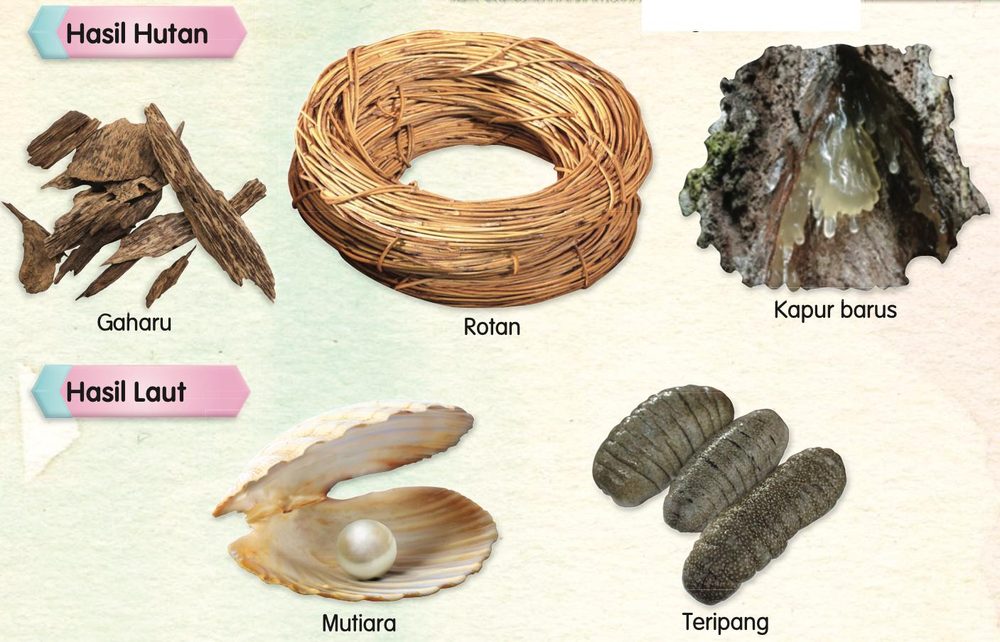 Gaharu, rotan dan kapur barus (hasil hutan) serta mutiara dan teripang (hasil laut)