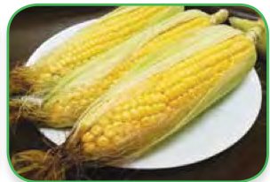 Jagung di atas pinggan