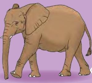 Seekor gajah