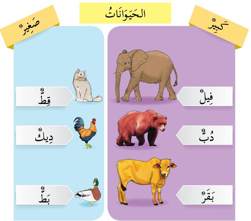 Dua lajur: haiwan besar iaitu gajah, beruang dan lembu di kanan; haiwan kecil iaitu kucing, ayam jantan dan itik di kiri