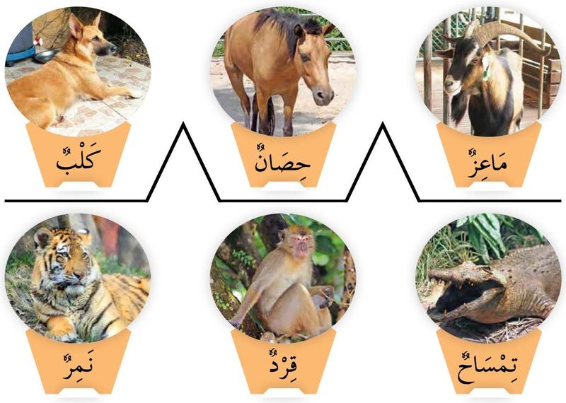 Enam gambar haiwan: anjing, kuda, kambing, harimau, monyet dan buaya, setiap satu dengan perkataan Arab