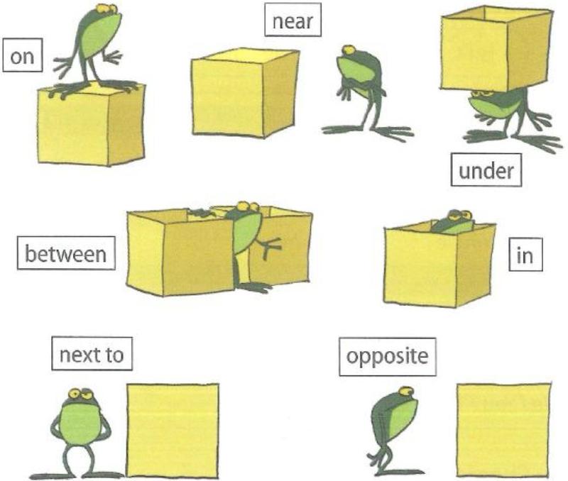 A frog and yellow boxes showing the prepositions on, near, under, between, in, next to and opposite
