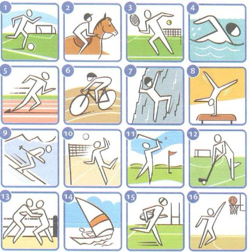 Sixteen small pictures of sports: football, horse-riding, tennis, swimming, athletics, cycling, climbing, gymnastics, skiing, volleyball, golf, hockey, wrestling, sailing, rugby and basketball