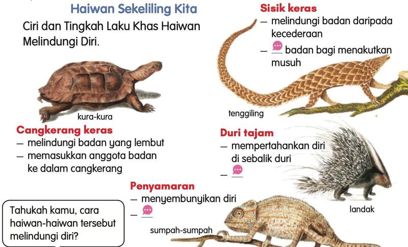 Kura-kura, tenggiling, landak dan sumpah-sumpah