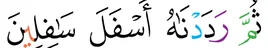 Ayat surah at-Tin