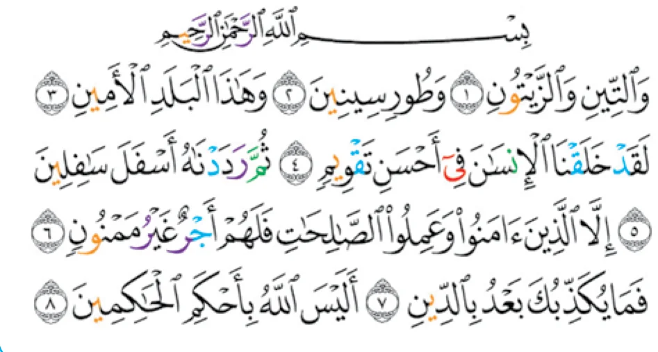 Surah at-Tin, ayat 1 hingga 8, seperti dalam buku teks, dengan huruf tajwid berwarna