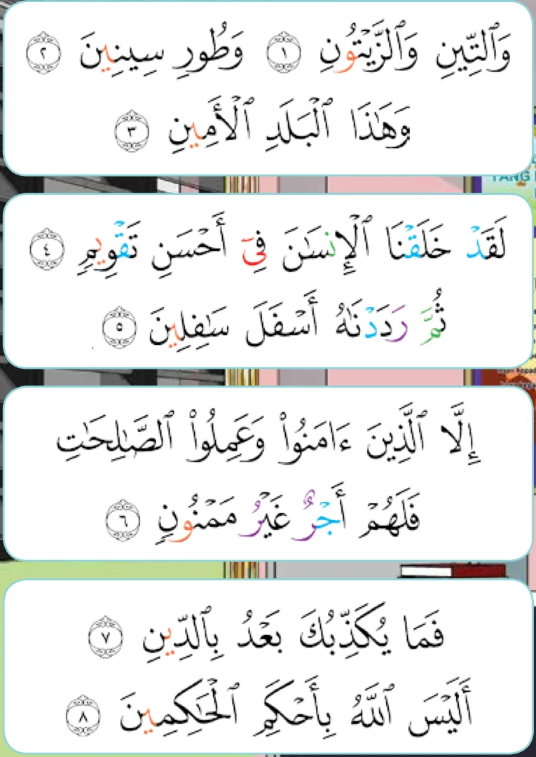 Ayat surah at-Tin dibahagikan kepada empat kumpulan: ayat 1 hingga 3, 4 hingga 5, 6 dan 7 hingga 8