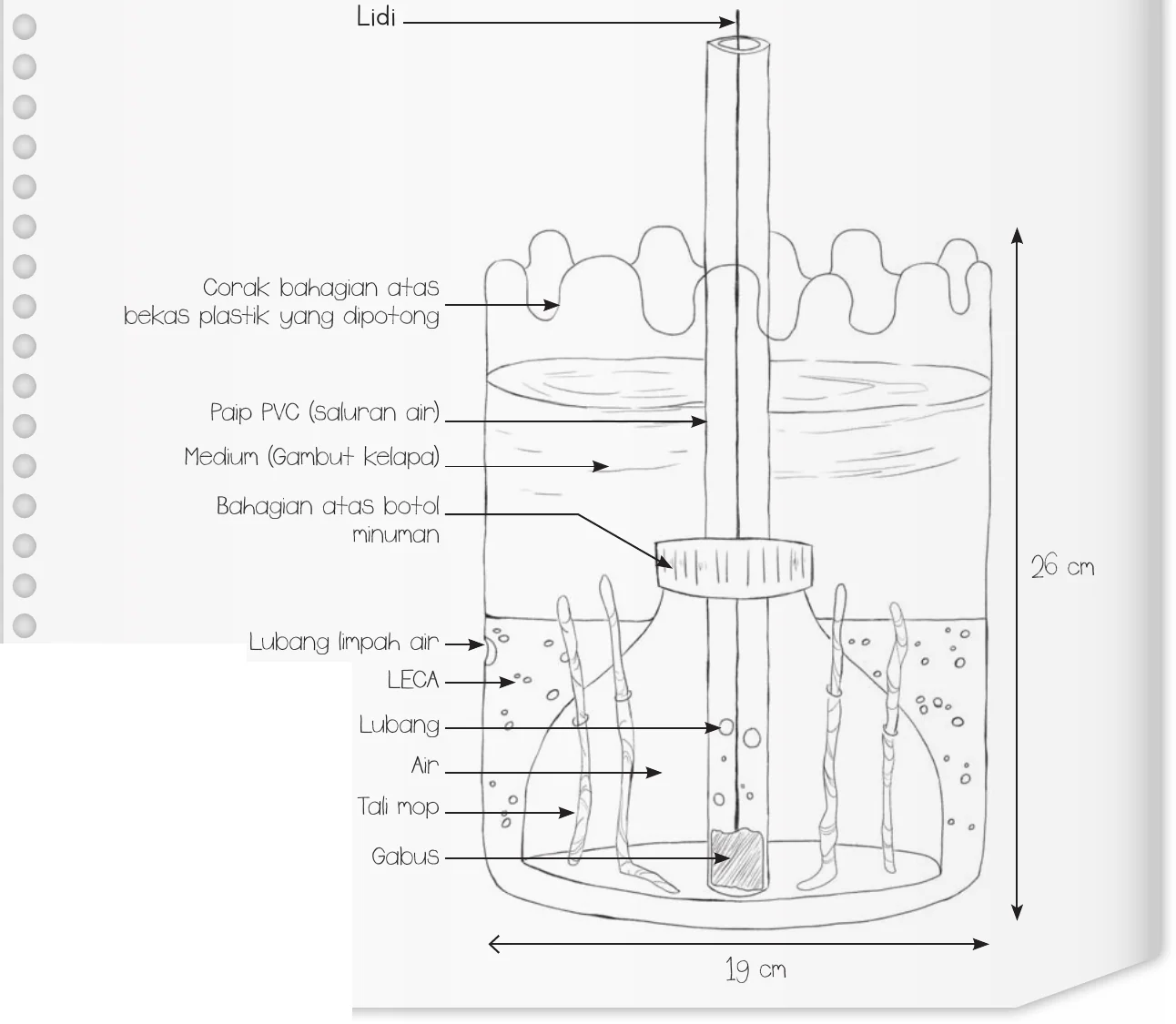 Lakaran yang telah dinilai dan ditambah baik, berlabel lidi, corak bahagian atas bekas plastik, paip PVC, medium gambut kelapa, bahagian atas botol minuman, lubang limpah air, LECA, lubang, air, tali mop dan gabus; tinggi 26 cm dan lebar 19 cm