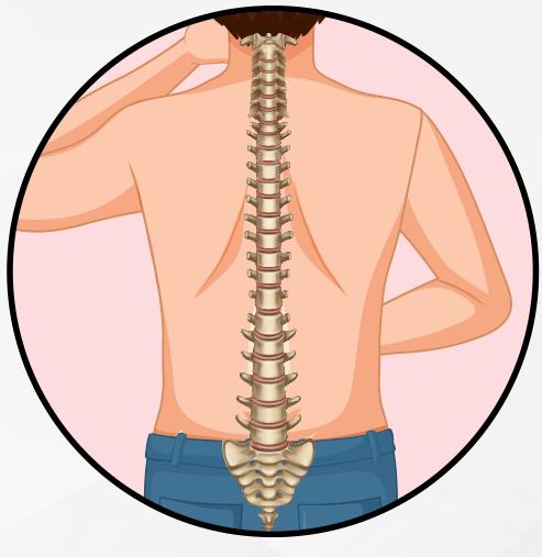 Tulang belakang pada belakang badan seorang budak