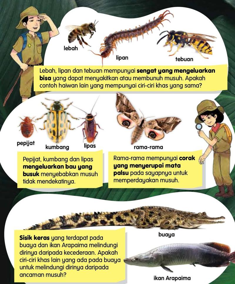 Lebah, lipan dan tebuan; pepijat, kumbang, lipas dan rama-rama; buaya dan ikan Arapaima, dengan nota tentang cara masing-masing melindungi diri