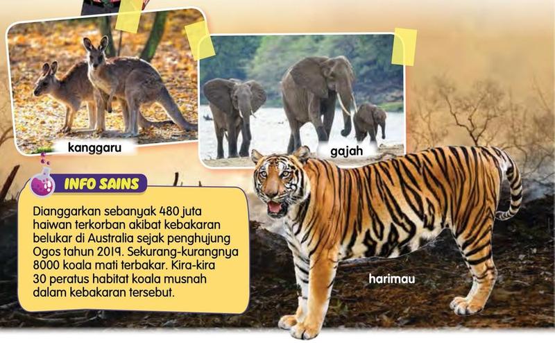 Kanggaru, gajah dan harimau yang kehilangan habitat, dan nota tentang kebakaran belukar di Australia