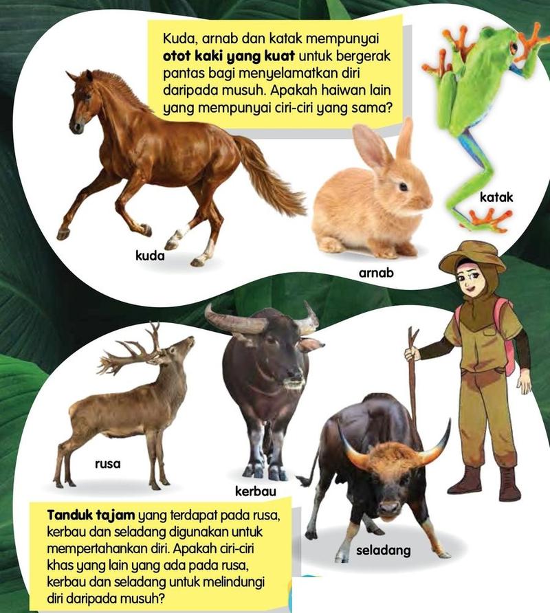 Kuda, arnab dan katak yang berotot kaki kuat; rusa, kerbau dan seladang yang bertanduk tajam