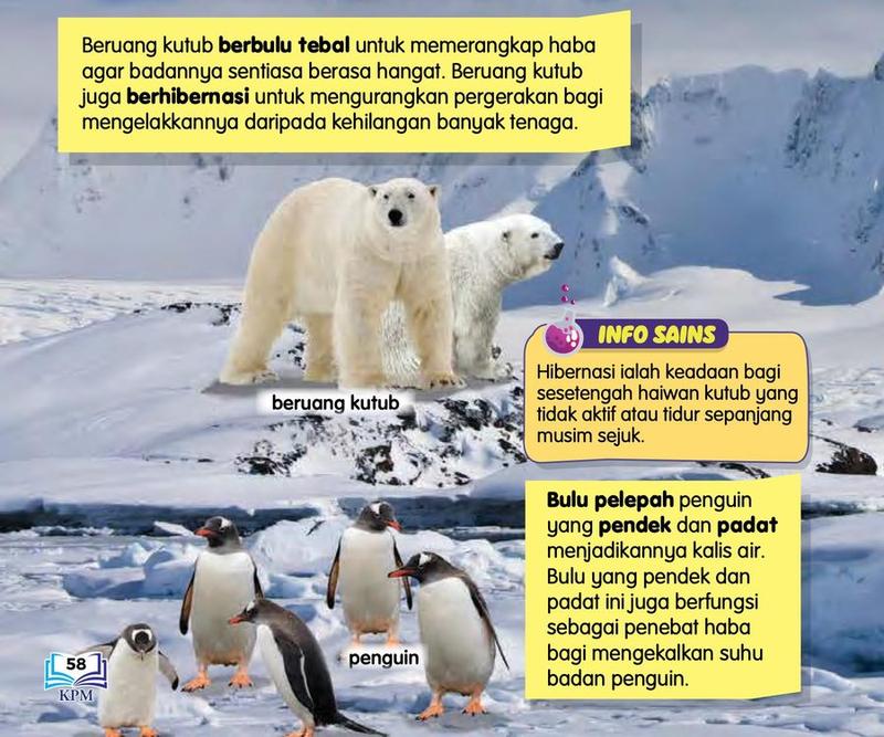 Dua ekor beruang kutub dan sekumpulan penguin di atas salji dan ais