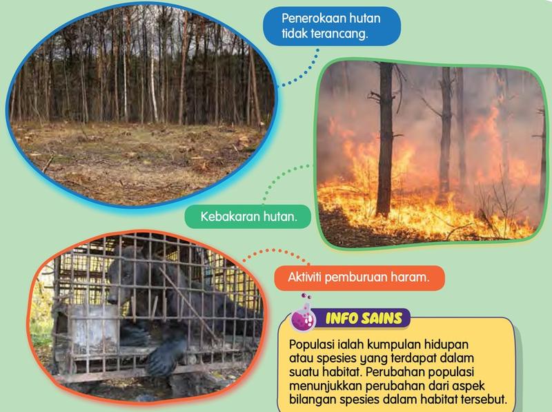 Sebab perubahan populasi: penerokaan hutan tidak terancang, kebakaran hutan dan aktiviti pemburuan haram