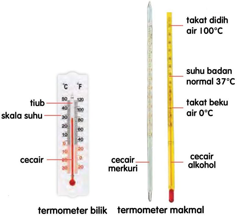 Termometer bilik dengan tiub, skala suhu dan cecair dilabelkan, serta dua termometer makmal bercecair merkuri dan alkohol, dengan penanda 0, 37 dan 100 darjah Celsius