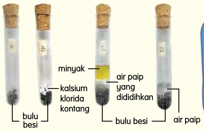 Empat tabung uji A hingga D berisi bulu besi: bulu besi sahaja, kalsium klorida kontang, air paip yang dididihkan dengan minyak, dan air paip