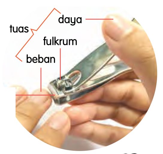 Pengetip kuku dengan daya, tuas, fulkrum dan beban dilabelkan