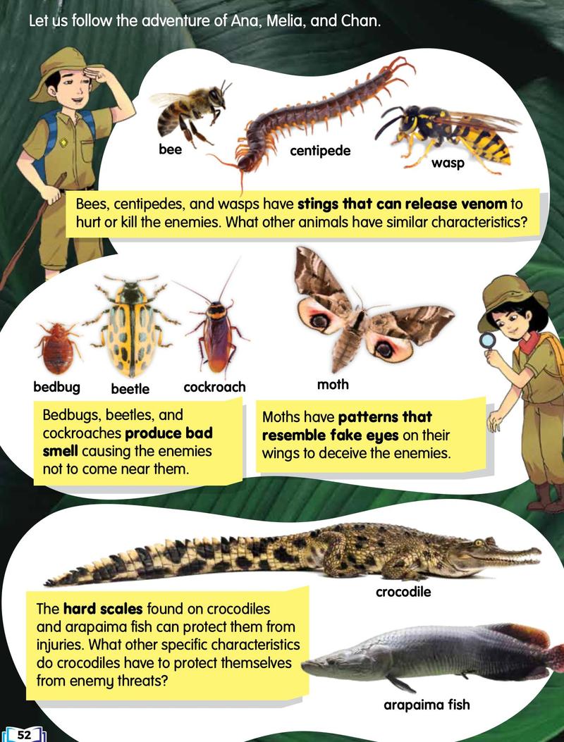 Bee, centipede and wasp; bedbug, beetle, cockroach and moth; crocodile and arapaima fish, with notes on their defences
