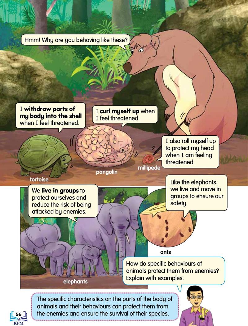A tortoise, pangolin and millipede curl up; ants and elephants live in groups