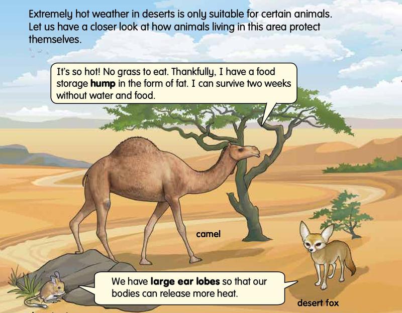 A camel with a hump, a desert fox and a desert rat in a desert