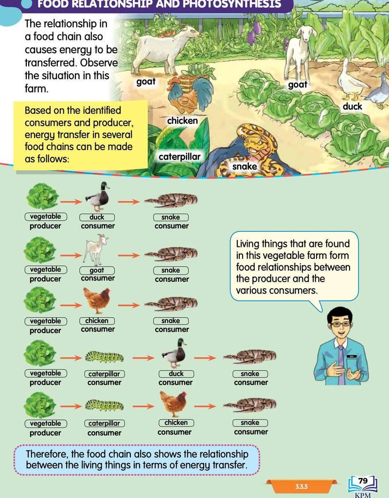 A vegetable farm with goats, chickens, ducks, caterpillars and a snake, and five food chains starting with vegetables