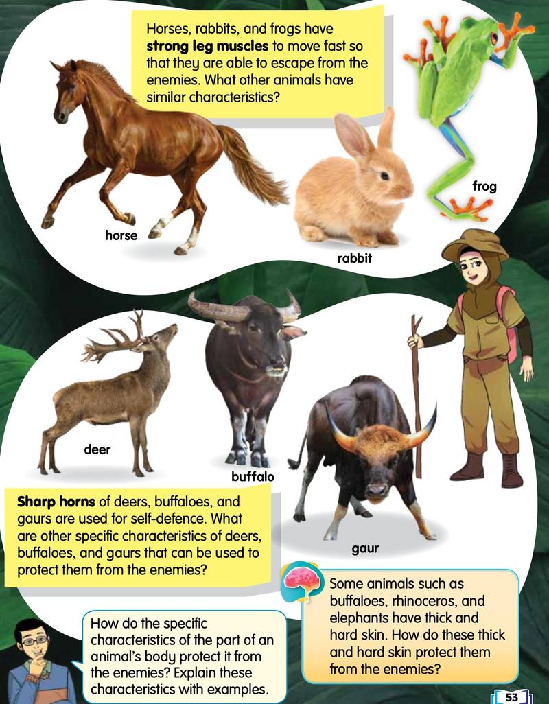 Horse, rabbit and frog with strong legs; deer, buffalo and gaur with sharp horns