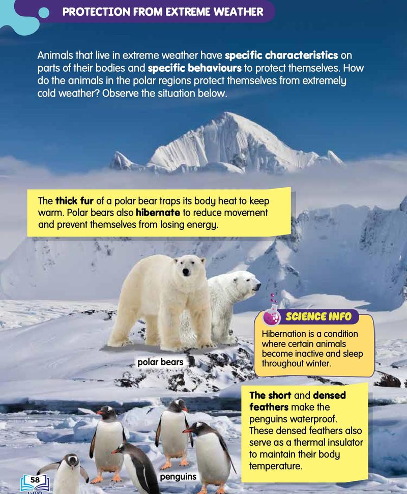 Two polar bears and a group of penguins on snow and ice
