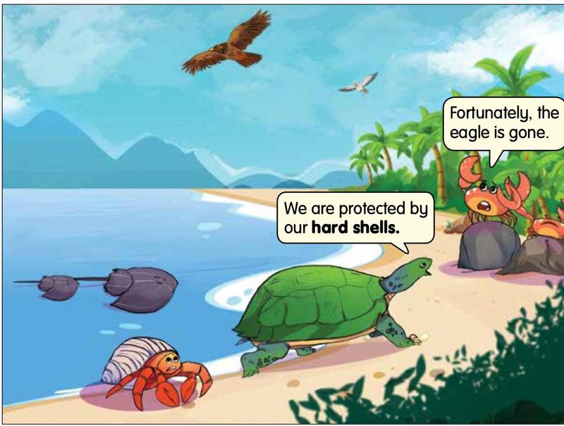 A tortoise, a hermit crab and horseshoe crabs with hard shells on a beach while an eagle flies away