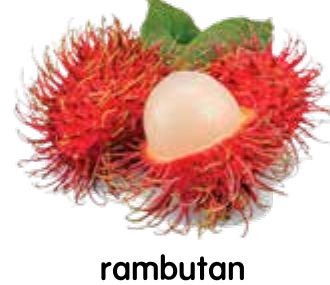 A rambutan with red hairy skin and white flesh