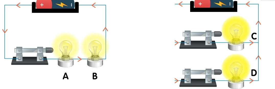 A series circuit with bulbs A and B and a parallel circuit with bulbs C and D, one dry cell each