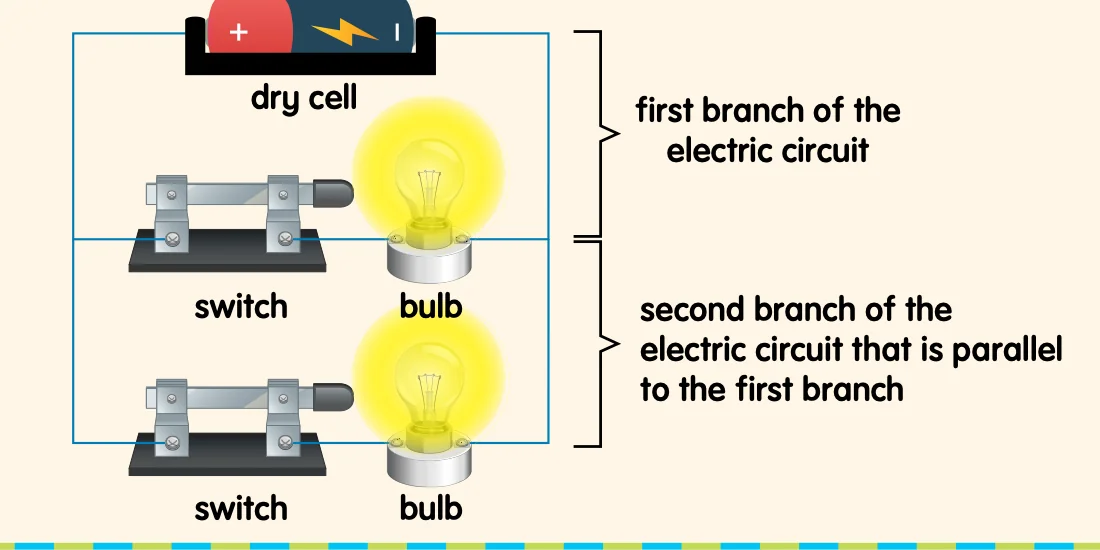 A parallel circuit: a dry cell with two branches, each with a switch and a bulb