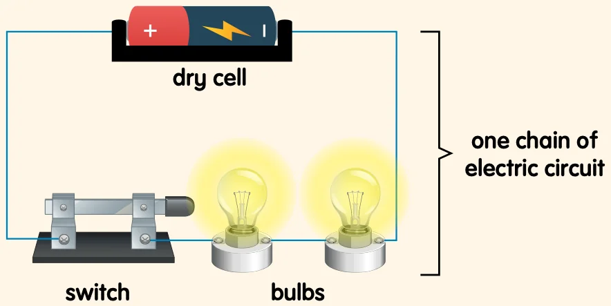 A series circuit: a dry cell, a switch and two bulbs in one loop, labelled one chain of electric circuit