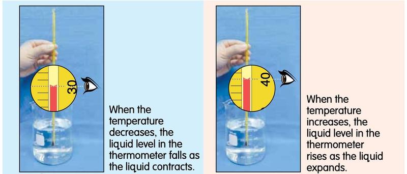 Two thermometers in beakers: the liquid level at 30 degrees when the temperature decreases and at 40 degrees when it increases