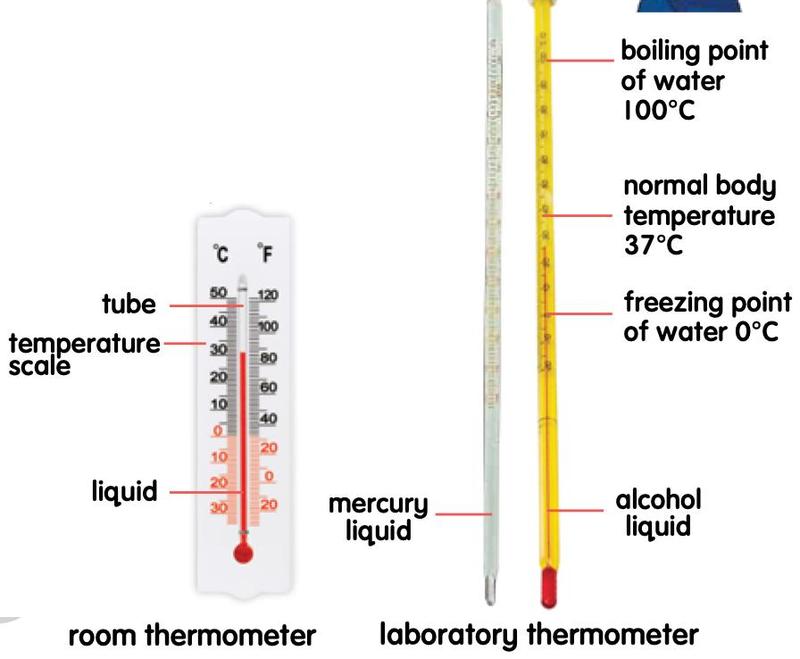 A room thermometer with tube, temperature scale and liquid labelled, and two laboratory thermometers with mercury liquid and alcohol liquid, marked with 0, 37 and 100 degrees Celsius