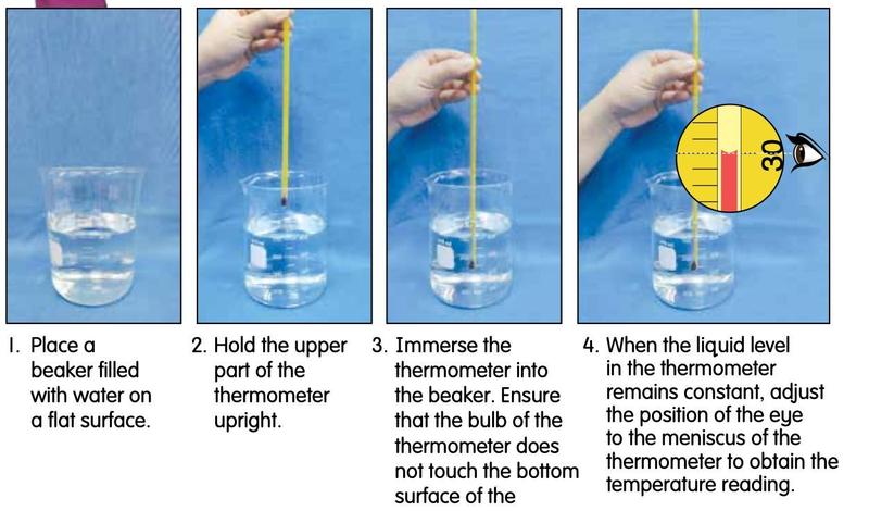 Four photos: an empty beaker with water, holding the thermometer upright, putting the thermometer into the beaker, and reading the level with the eye level with the liquid