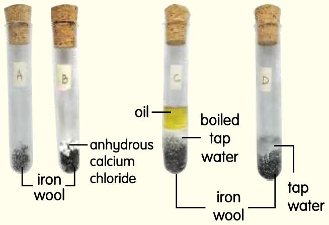 Four test tubes with iron wool only, calcium chloride, boiled tap water under oil, and tap water