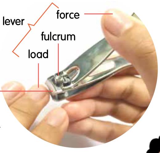A nail clipper with the force, fulcrum and load labelled