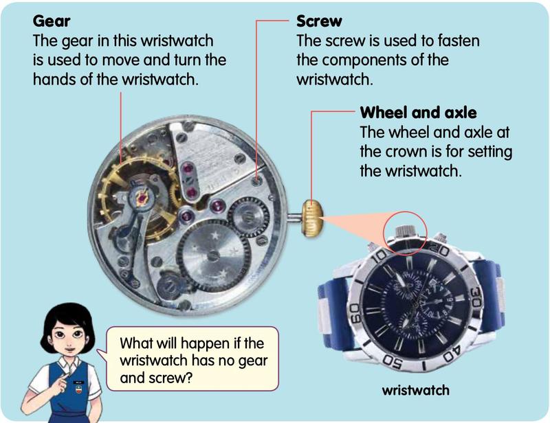 Inside of a wristwatch showing gear, screw and crown