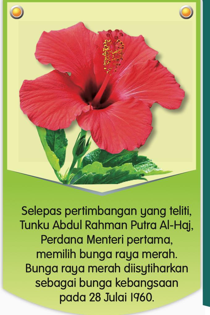 Bunga raya merah dengan keterangan tentang pemilihan oleh Tunku Abdul Rahman dan pengisytiharan pada 28 Julai 1960
