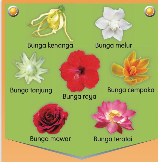 Tujuh jenis bunga yang dicadangkan: kenanga, melur, tanjung, bunga raya, cempaka, mawar dan teratai