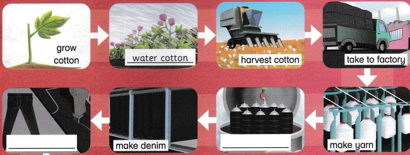 Infographic with arrows. Top row: grow cotton, water cotton, harvest cotton, take to factory. Second row, from right to left: make yarn, a blank label, make denim, a blank label