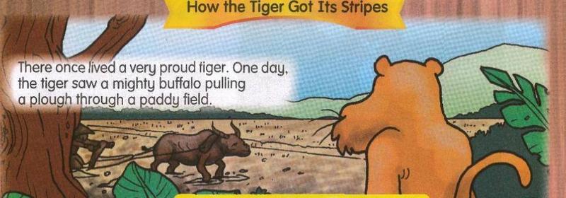A proud tiger watches a buffalo pull a plough through a paddy field, then asks it why it works so hard