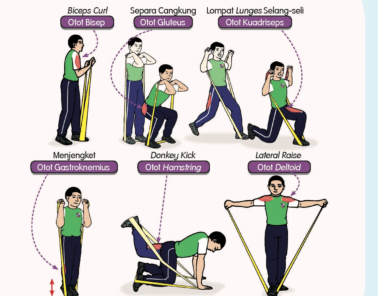 Enam senaman: biceps curl, separa cangkung, lompat lunges selang-seli, menjengket, donkey kick dan lateral raise dengan otot sasaran