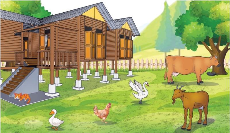 Kucing, lembu, kambing, ayam, itik dan angsa di halaman sebuah rumah kayu orang Melayu