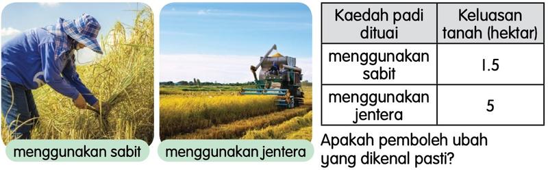 Seorang petani menuai padi dengan sabit, jentera penuai padi dan jadual kaedah padi dituai dengan keluasan tanah dalam hektar