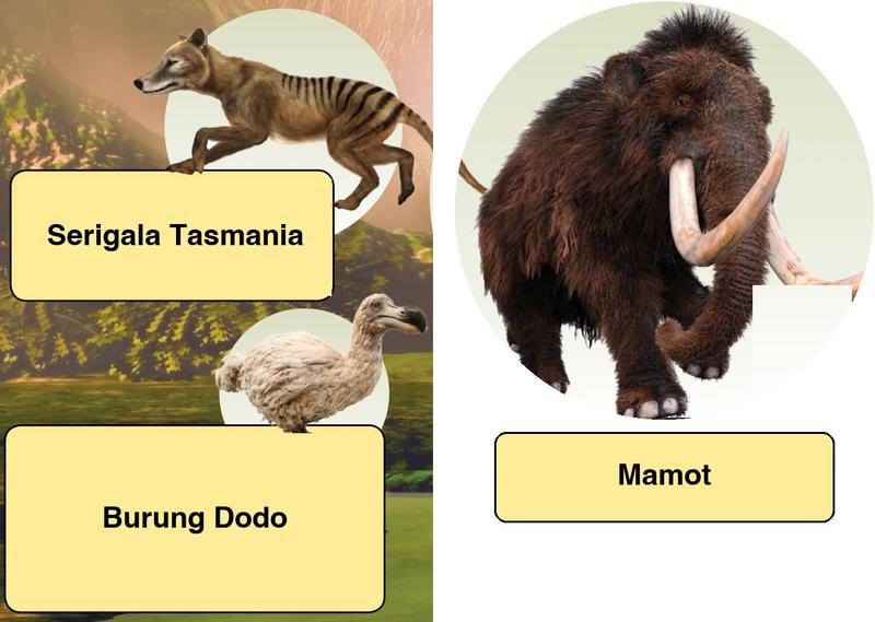 Serigala Tasmania, burung Dodo dan mamot, tiga haiwan yang telah pupus