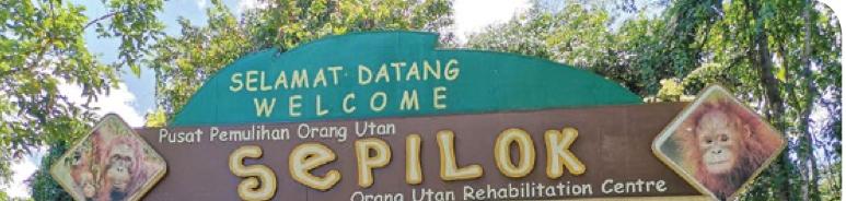 Pintu masuk pusat rehabilitasi orang utan