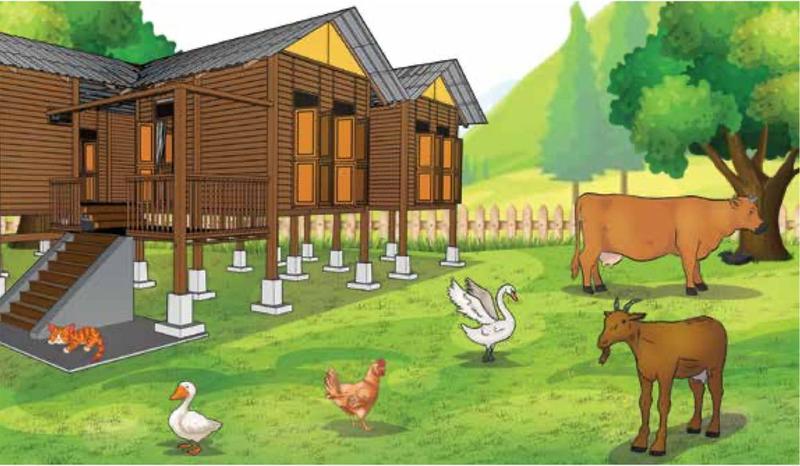 A cat, a cow, a goat, a hen, a duck and a swan on the grass in front of a Malay wooden house